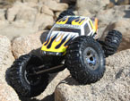 Losi Comp Crawler