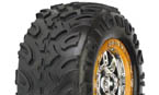 proline 1119